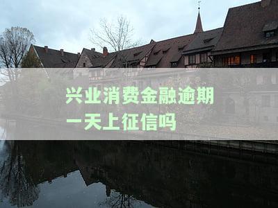 兴业消费金融逾期一天会否上征信？有何影响？