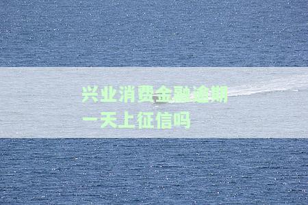 兴业消费金融逾期一天上征信吗-兴业消费金融逾期一天上征信吗有影响吗