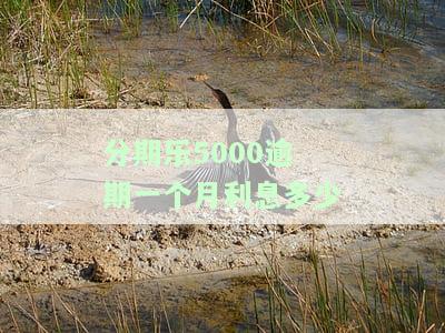 分期乐欠款5000逾期一年，利息多少，现在要还多少？可能面临什么后果？