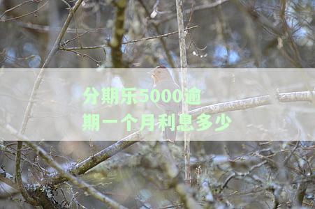 分期乐逾期500天，借6500，现在应还多少？能否继续分期？已逾期500块还能使用吗？逾期五千多被立案是否会坐牢？逾期500元未还最结果如何？