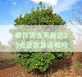 邮你贷晚上12点能否手动还款？放款时间、还款最晚期限及逾期影响详解