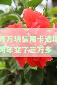 两万的信用卡逾期两年多是否会坐牢？答案与解决办法全在这！