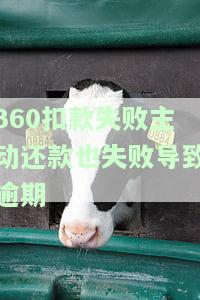 360自动扣款失败后自己还款，会影响信用吗？及时处理方法与安全问题解析