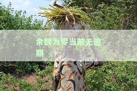 信用额度和余额0,当前无逾期：了解信用额度与余额的关系