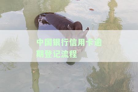 中国银行信用卡逾期登记流程图详解：操作步骤、处理办法及最新规定