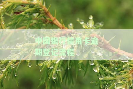 中国银行信用卡逾期登记流程及处理方法全解析