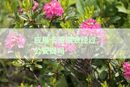 应用卡逾期会经过公安局吗？知乎用户分享经验与建议