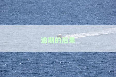 逾期的后果