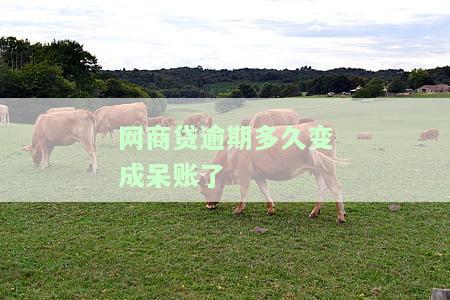 网商贷逾期多久上征信？后果严重！全款还款or分次还？逾期天数影响几何？
