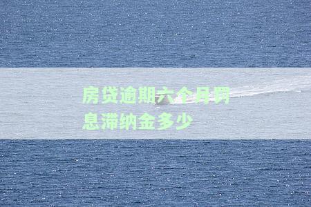 房贷逾期6个月会被收吗？影响及解决办法全解析
