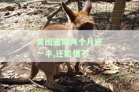 美团逾期两个月一次性还清，能否再次借款？已全额还清逾期，是否仍可使用？逾期三个月全额结清，还能再借吗？逾期两月未还会如何处理？现要求全部还清，逾期三个月右已结清。