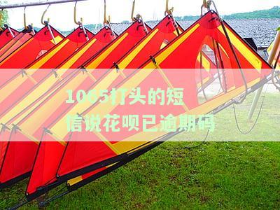 1069050953花呗短信：已还款请忽略，其他账户信息干扰