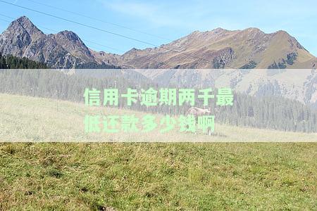 信用卡2000元逾期是否会影响贷款？