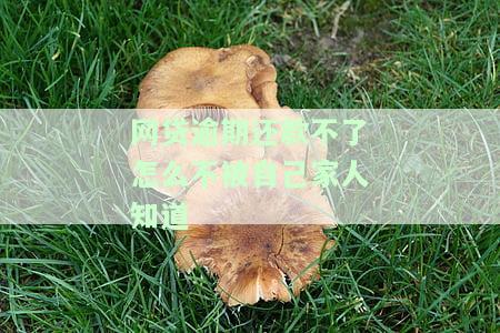 网贷逾期还款不了怎么不被自己家人知道-网贷逾期还款不了怎么不被自己家人知道呢