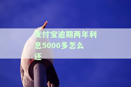 支付宝逾期两年利息5000多，如何还清？能否降低利息？