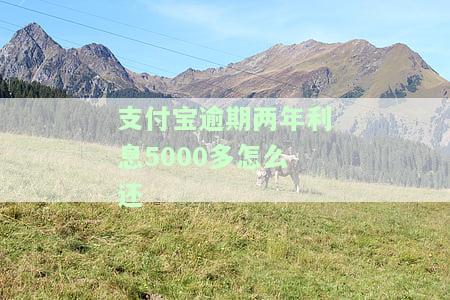 支付宝逾期2年，能否降低利息？真的可行吗？安全吗？可以慢慢还款吗？