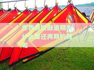 你我贷极融逾期为何要还两期？解决办法是什么？有宽限期吗？逾期一天会上征信吗？