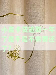 小赢卡贷逾期一年了是不是不需要还了?-小赢卡贷逾期一年了是不是不需要还了呢