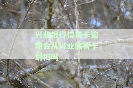 兴业银行卡逾期多久会波及其他银行卡？影响使用、额度及征信，还会给家人打电话吗？