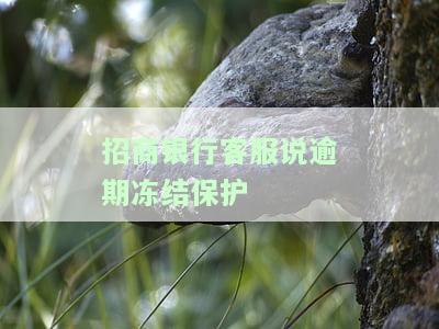 招商银行客服说逾期冻结保护