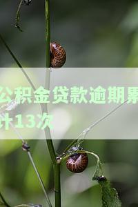 公积金贷款逾期累计13次的后果及处理方式