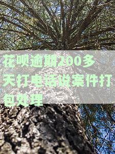 花呗逾期150天被电话告知可能被起诉，该如何应对？