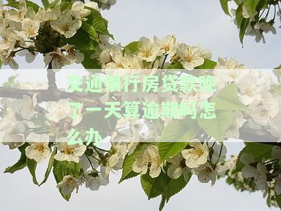 交通银行房贷款晚了一天算逾期吗怎么办-交通银行房贷款晚了一天算逾期吗怎么办理