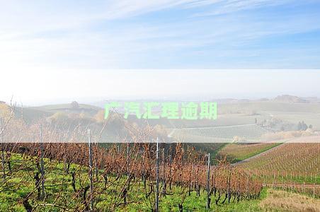 汽汇理逾期5天、2天及2个月后果：存款不扣、提前结清要求，最还款期多久？