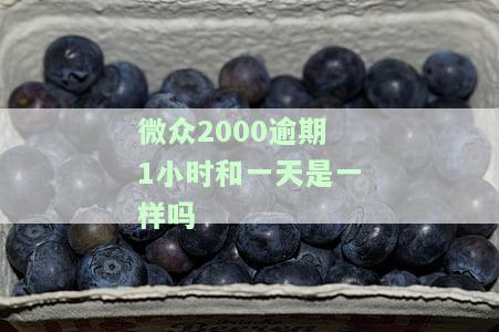 微众2000贷款逾期处理方法及影响：如何避免上征信？
