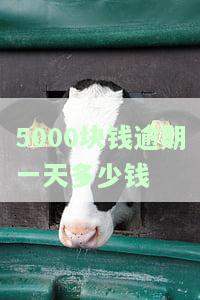 5000元逾期一天利息：多少合法？