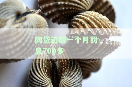 网贷逾期一个月罚多少？利息、后果全知道！