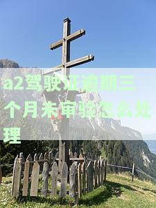 A2驾驶证超三个月未审：如何处理及后果