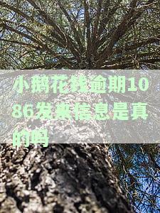 小鹅花钱逾期2年亲身经历：正规借款平台还是高门槛？能否协商还款？