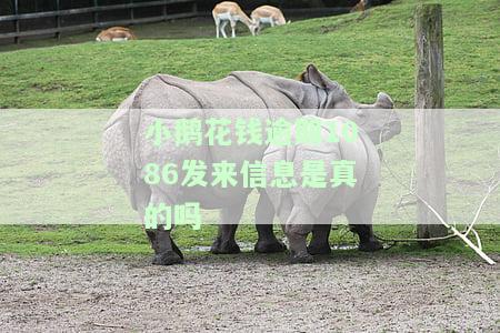 小鹅花钱逾期说要起诉真的吗？逾期两年经历、暴力催收及是否会上征信全解析