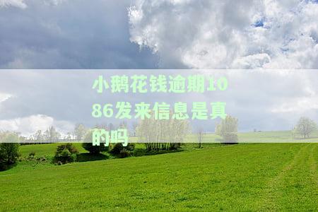 小鹅花钱逾期说要上门？真的会上门吗？会打电话给家人或乱打吗？