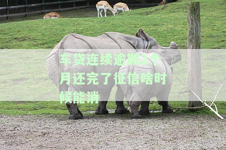 车贷连续逾期2个月还完后，征信多久能恢复？