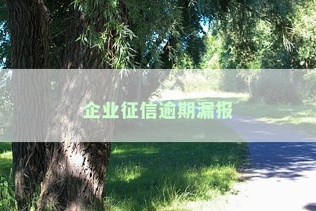 逾期申报会影响企业征信吗？了解其影响及解决办法