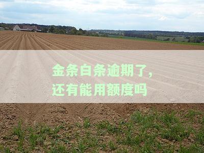 金条白条逾期后能否继续使用？解决方案是什么？