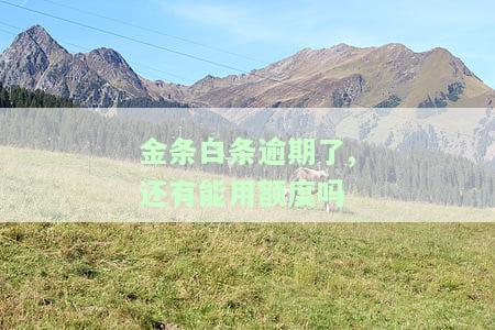 白条金条逾期后能否继续使用？安全性如何？知乎上有相关回答吗？逾期会对金条借款有影响吗？