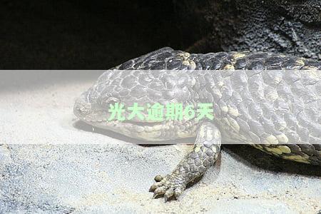 光大逾期七天：利息计算及影响，包括对联系人的通知，逾期期限及利息详情