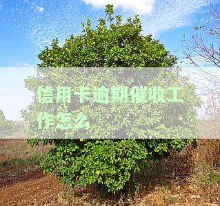 对信用卡逾期催收这种工作好干么？全面解析信用卡催收工作的优缺点