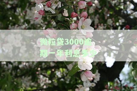 微粒贷逾期3千是否会被告？后果及解决办法全解析