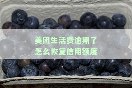 美团生活费逾期了如何恢复信用额度？逾期还款后多长时间可以再次借款？
