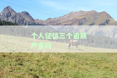 个人征信三个逾期严重吗-个人征信三个逾期严重吗怎么办