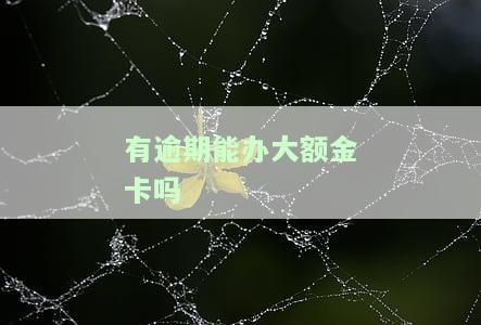 严重逾期能否办理蓄卡并存款？安全吗？可能会被划走吗？