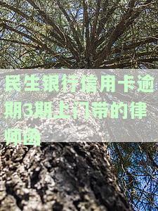 民生银行信用卡逾期3期上门带的律师函是什么？内容、形式及影响解析