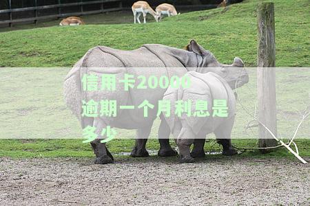 信用卡20000逾期一个月利息是多少