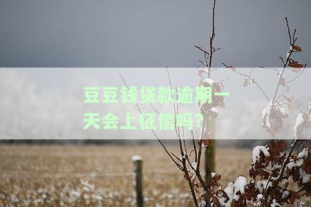 豆豆钱贷款未还，可能面临法律诉讼及诈骗指控，如何解决?