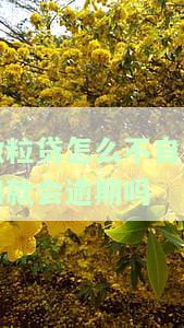 微粒贷为什么不再自动扣款微信零钱？