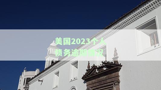 美国2023个人债务逾期情况如何，探究美国2023年个人债务逾期状况
